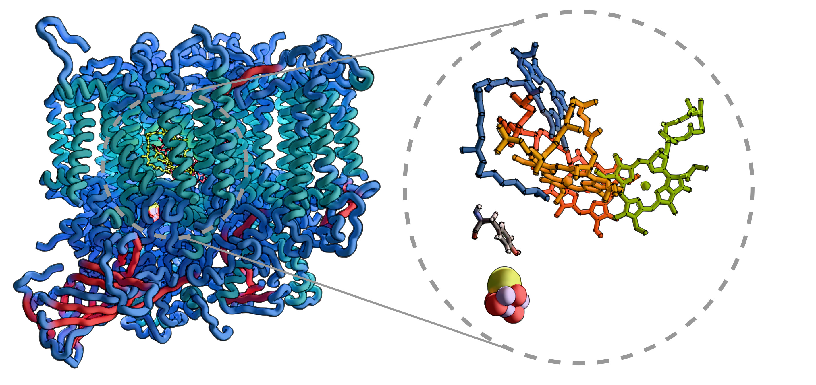 Photosystem II reaction center